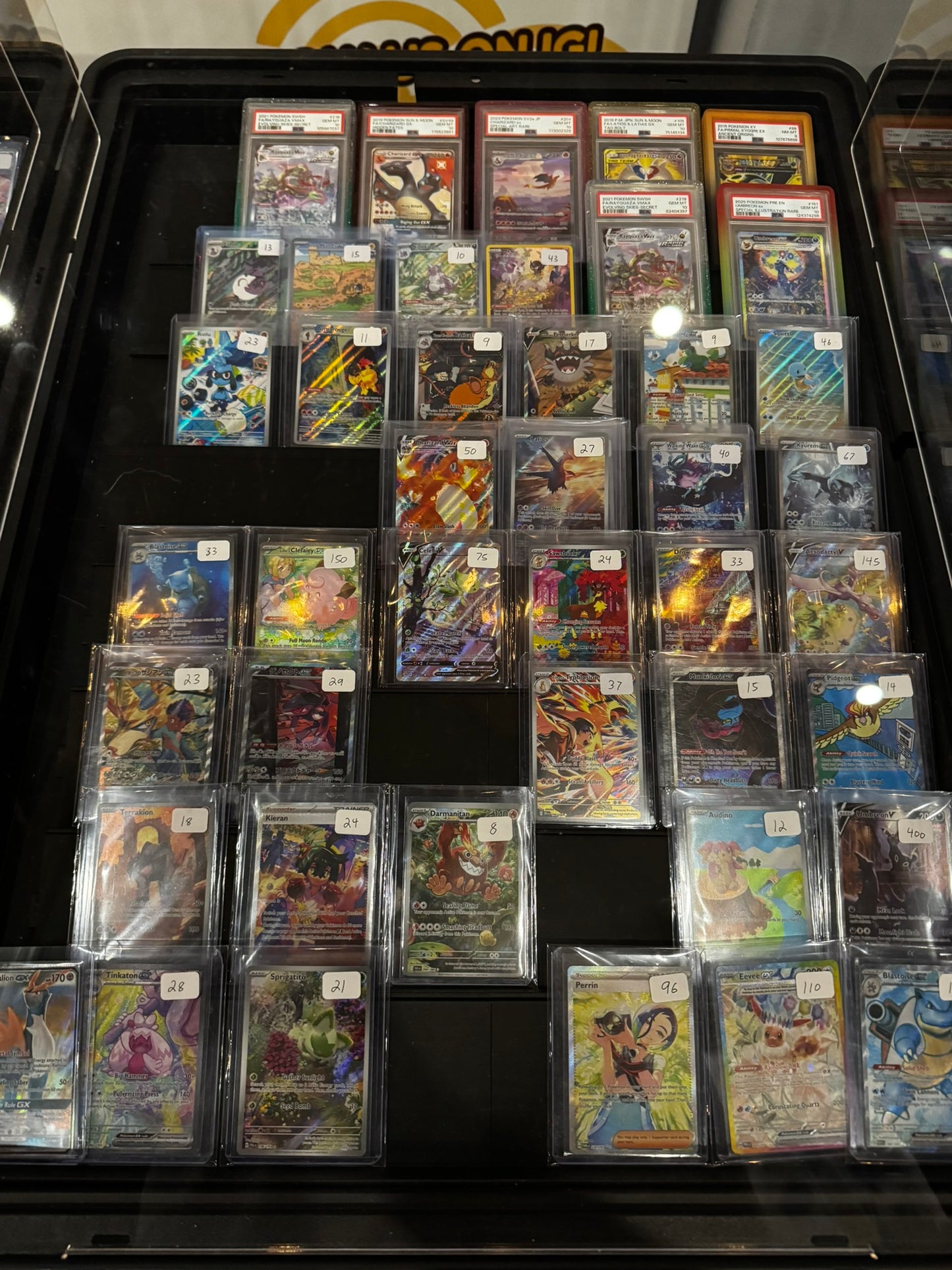 Display Case Stands