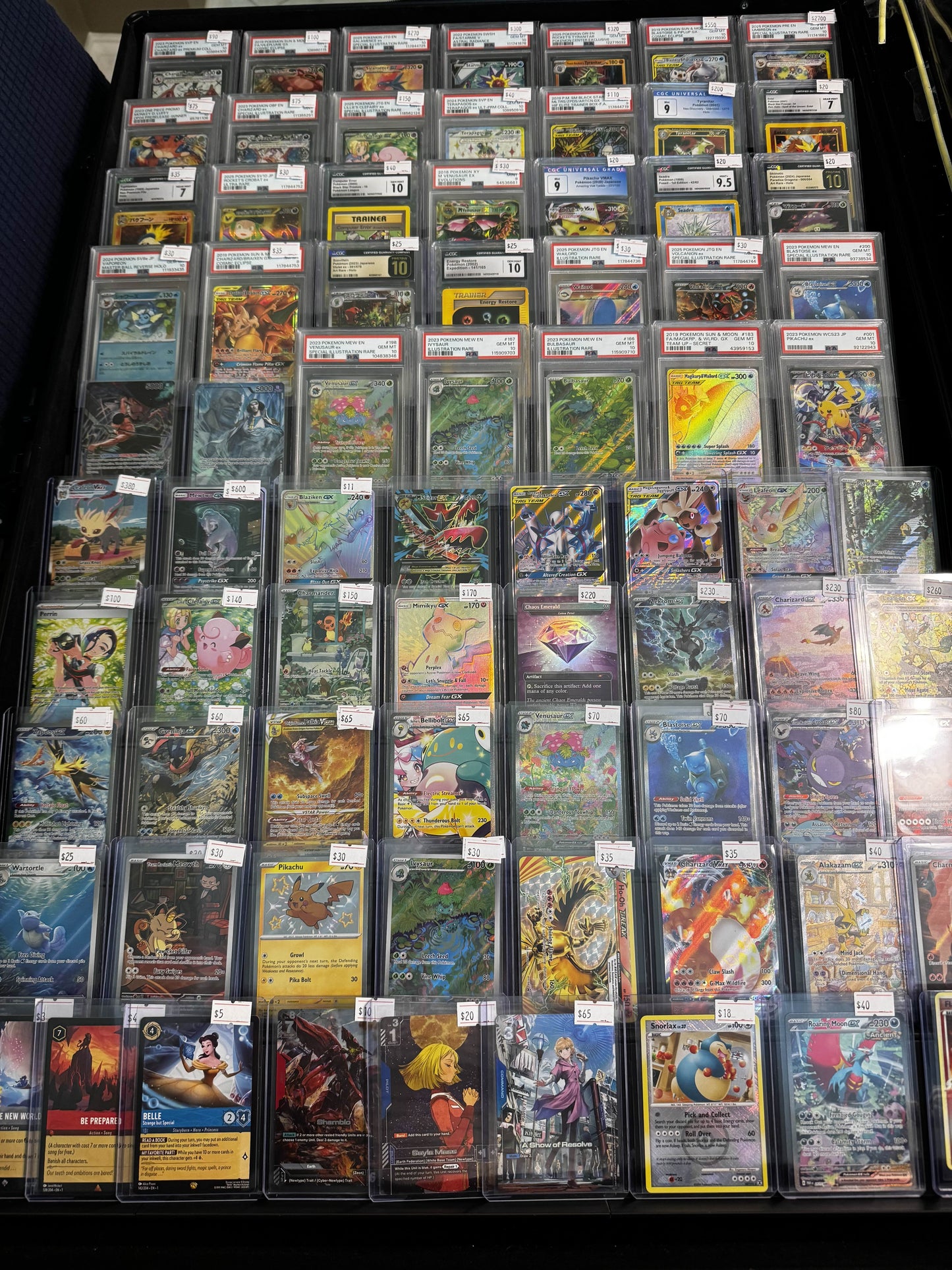 Display Case Stands