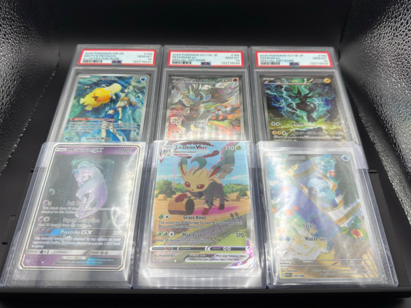 Display Case Stands