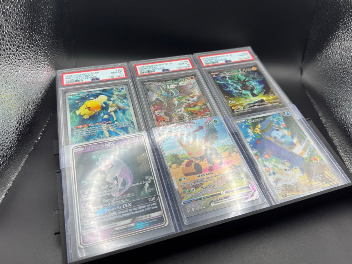 Display Case Stands